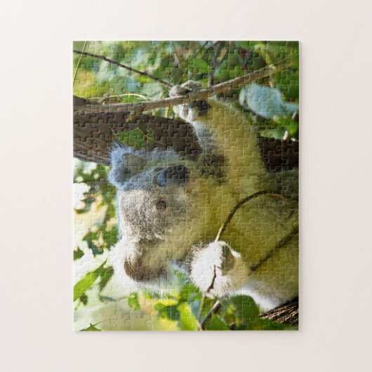 Puzzle Koala Bears. (Vertical)