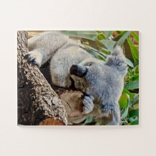 Puzzle Koala couché mou (Horizontal)