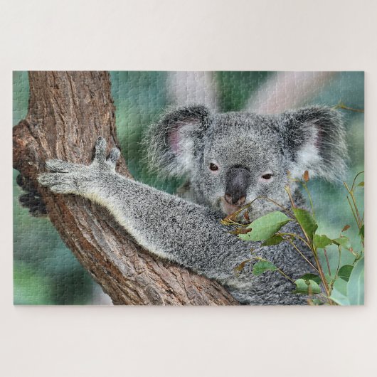 Puzzle Koala dans l'arbre (Horizontal)