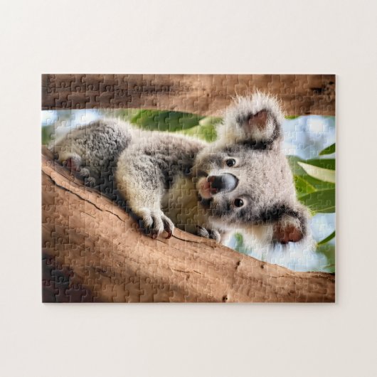 Puzzle Koala dans un arbre (Horizontal)