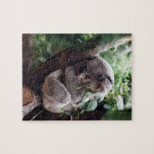 Puzzle Koala de bébé de sommeil (Horizontal)