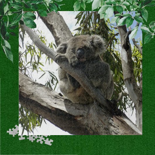 Puzzle Koala - Dormir