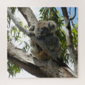 Puzzle Koala - Dormir (Vertical)