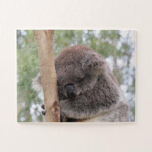 Puzzle koala mignon