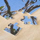 Puzzle Koala Nap (Côté)