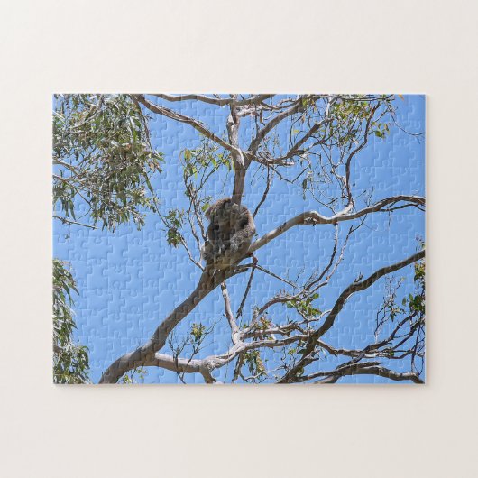 Puzzle Koala Nap (Horizontal)