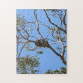 Puzzle Koala Nap (Vertical)