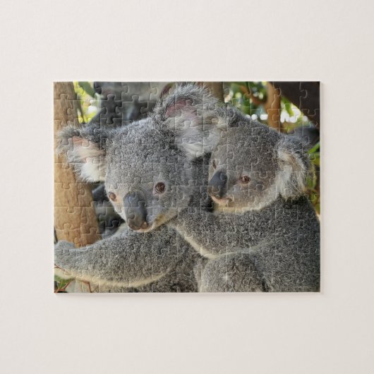Puzzle Koala Phascolarctos cinereus Queensland. (Horizontal)