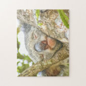 Puzzle Koala Sleeping (Vertical)