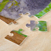Puzzle Koalas (Côté)