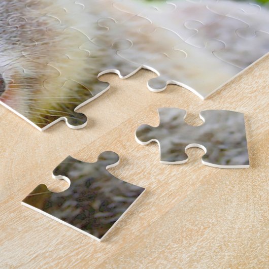 Puzzle Koalas australien (Côté)