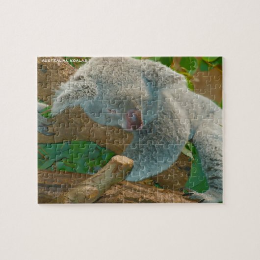 Puzzle Koalas australiens (Horizontal)