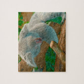 Puzzle Koalas australiens (Vertical)