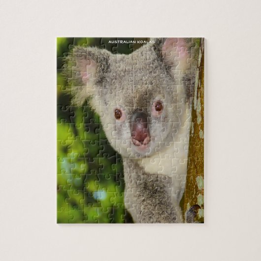 Puzzle Koalas australiens (Vertical)