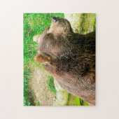 Puzzle Kodiak Bears. (Vertical)