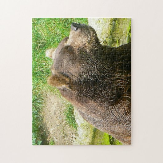 Puzzle Kodiak Bears. (Vertical)