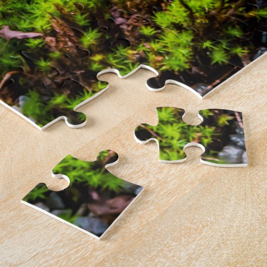 Puzzle Koi fish in a pond (Côté)