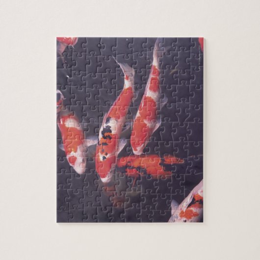 Puzzle Koi piscine (Vertical)
