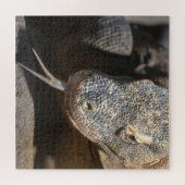 Puzzle Komodo Dragon Sticking Out Sa Langue (Horizontal)