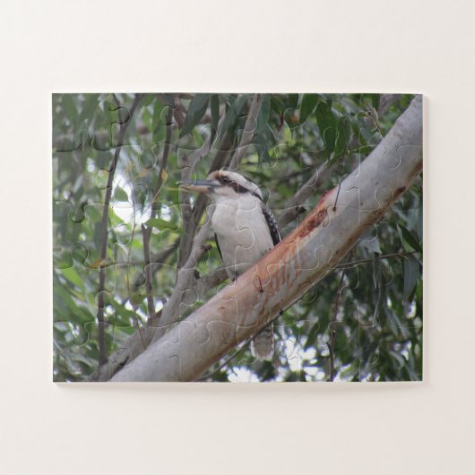 Puzzle kookaburra (Horizontal)