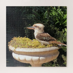 Puzzle kookaburra