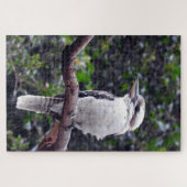 Puzzle Kookaburra (Horizontal)