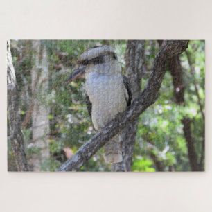 Puzzle kookaburra