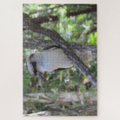 Puzzle kookaburra (Vertical)