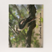 Puzzle Kookaburra australien (Vertical)