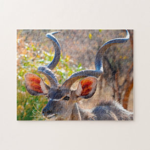 Puzzle Kudu Botswana.