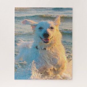 Puzzle Kuvasz Chien.