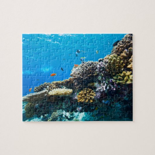 Puzzle La barrière de corail sous l'eau (Horizontal)