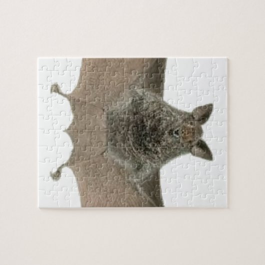 Puzzle la batte (Horizontal)