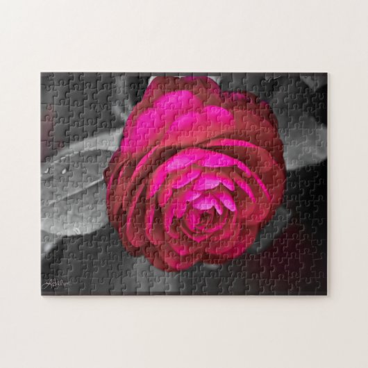 Puzzle La Camélia rose (Horizontal)