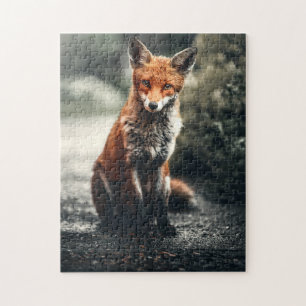 Puzzle La chasse sauvage du renard rouge Les animaux Le p
