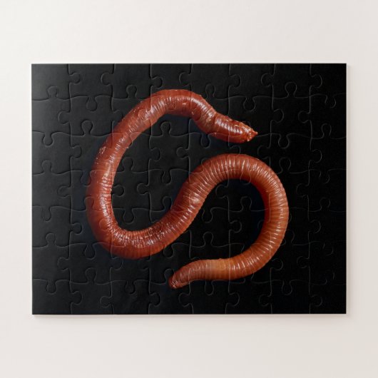 Puzzle La Collection de Vers (Horizontal)