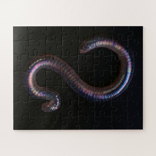 Puzzle La Collection de Vers (Horizontal)