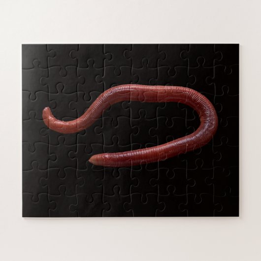 Puzzle La Collection de Vers (Horizontal)