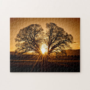 Puzzle La Dernière explosion du coucher du soleil - 11x14