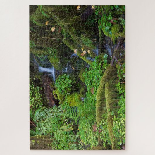 Puzzle La forêt tropicale automautomne | Parc national ol (Vertical)