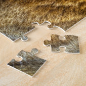 Puzzle La lionne Big Cats. (Côté)