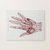 Puzzle La main humaine d'anatomie Muscles le rouge (Horizontal)