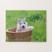Puzzle La marionnette sibérienne Husky dans un pot (Horizontal)