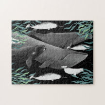 La Nage Des Baleines Illustration Art Whale