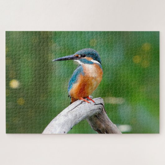 Puzzle La nature des oiseaux du martin pêcheur (Horizontal)