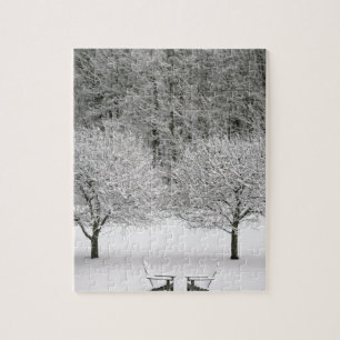 Puzzle La neige a couvert le paysage