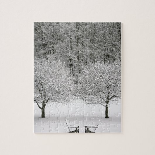 Puzzle La neige a couvert le paysage (Vertical)