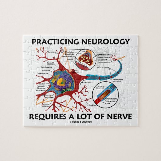 Puzzle La neurologie de pratique exige beaucoup de nerf (Horizontal)