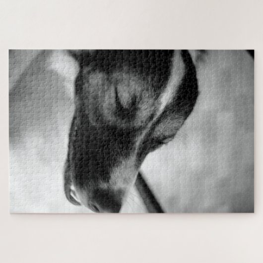 Puzzle La nuit du chien (Horizontal)