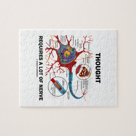 Puzzle La pensée exige beaucoup de nerf (neurone/synapse) (Horizontal)
